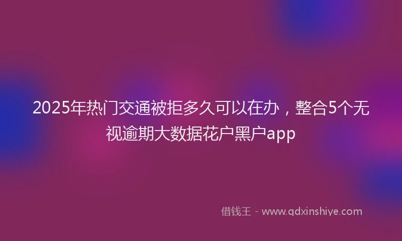 2025年热门交通被拒多久可以在办，整合5个无视逾期大数据花户黑户app