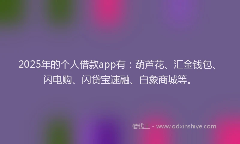 2025年的个人借款app有：葫芦花、汇金钱包、闪电购、闪贷宝速融、白象商城等。
