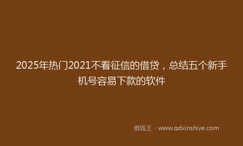 2025年热门2021不看征信的借贷，总结五个新手机号容易下款的软件