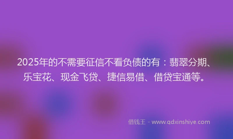 2025年的不需要征信不看负债的有：翡翠分期、乐宝花、现金飞贷、捷信易借、借贷宝通等。