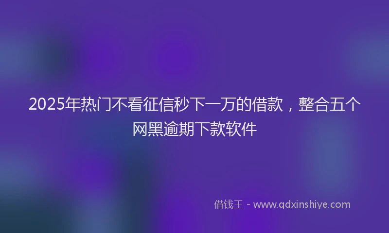 2025年热门不看征信秒下一万的借款，整合五个网黑逾期下款软件