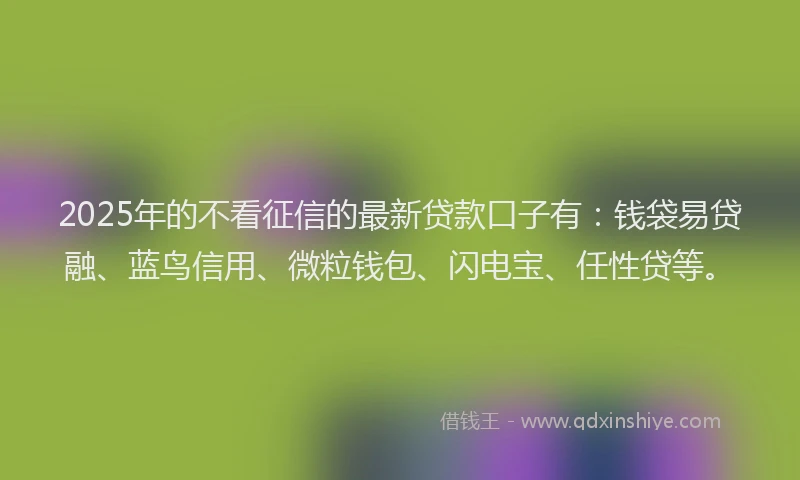2025年的不看征信的最新贷款口子有：钱袋易贷融、蓝鸟信用、微粒钱包、闪电宝、任性贷等。