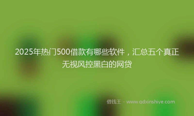 2025年热门500借款有哪些软件，汇总五个真正无视风控黑白的网贷