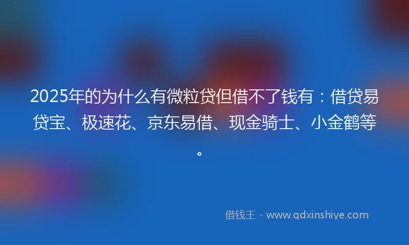 2025年的为什么有微粒贷但借不了钱有：借贷易贷宝、极速花、京东易借、现金骑士、小金鹤等。