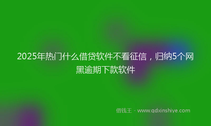 2025年热门什么借贷软件不看征信，归纳5个网黑逾期下款软件