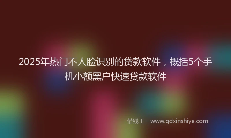 2025年热门不人脸识别的贷款软件，概括5个手机小额黑户快速贷款软件