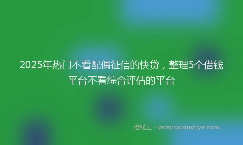 2025年热门不看配偶征信的快贷，整理5个借钱平台不看综合评估的平台