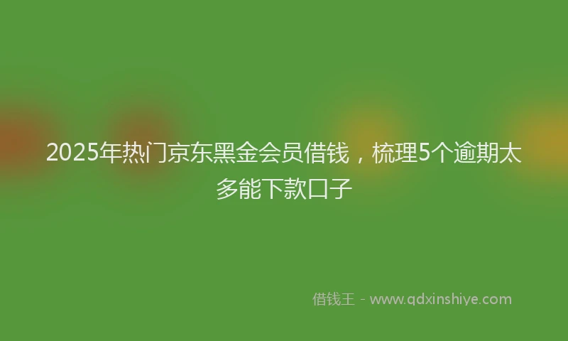 2025年热门京东黑金会员借钱，梳理5个逾期太多能下款口子