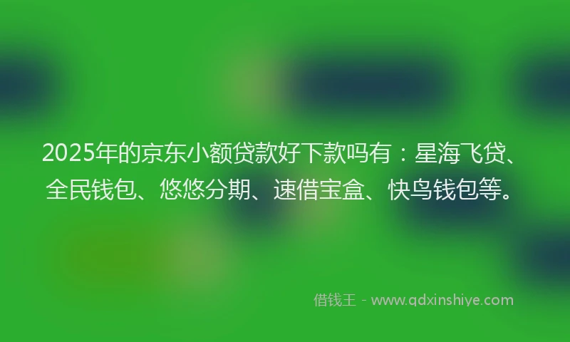 2025年的京东小额贷款好下款吗有：星海飞贷、全民钱包、悠悠分期、速借宝盒、快鸟钱包等。
