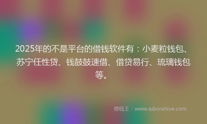2025年的不是平台的借钱软件有：小麦粒钱包、苏宁任性贷、钱鼓鼓速借、借贷易行、琉璃钱包等。