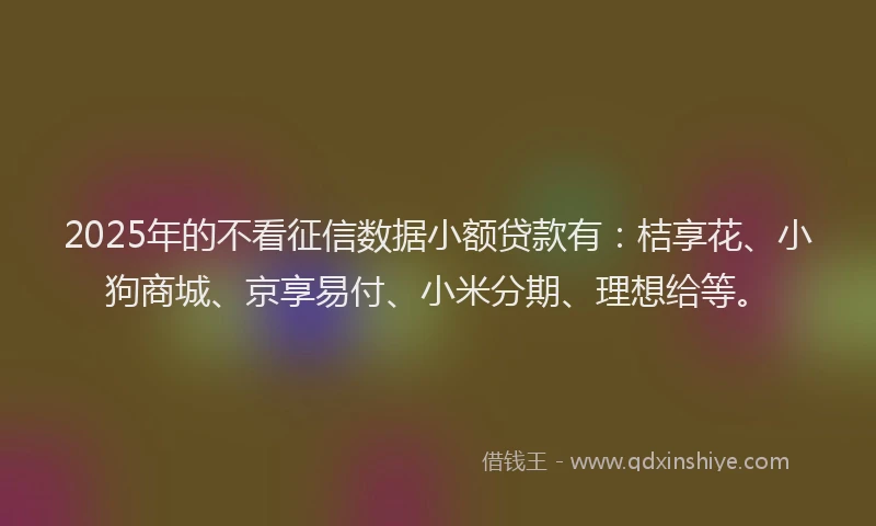 2025年的不看征信数据小额贷款有：桔享花、小狗商城、京享易付、小米分期、理想给等。