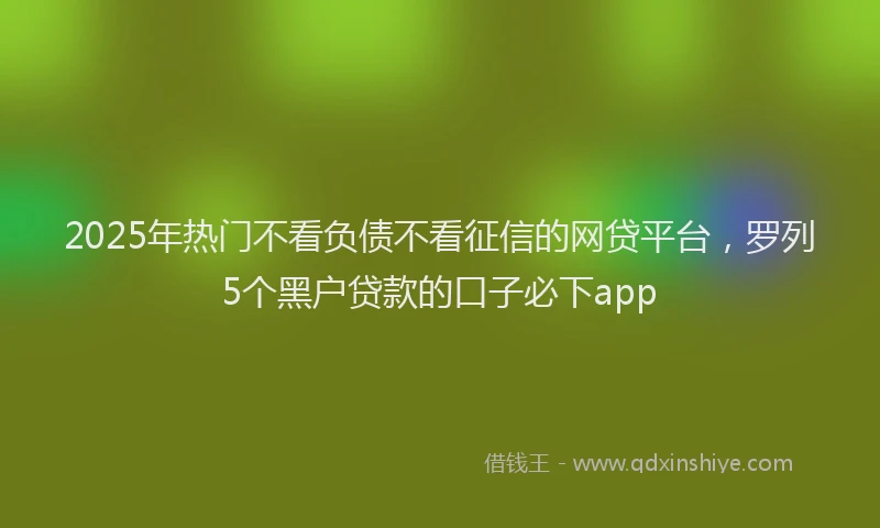 2025年热门不看负债不看征信的网贷平台，罗列5个黑户贷款的口子必下app