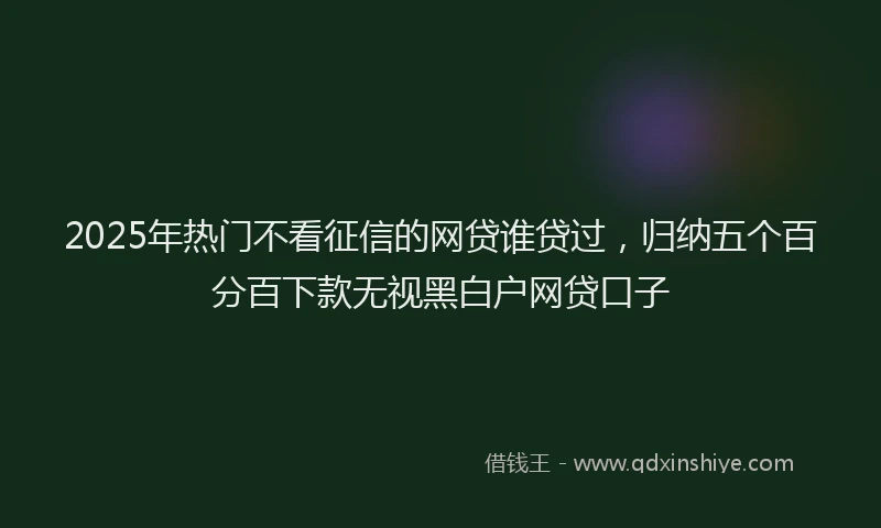 2025年热门不看征信的网贷谁贷过，归纳五个百分百下款无视黑白户网贷口子