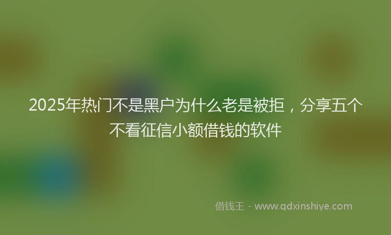 2025年热门不是黑户为什么老是被拒，分享五个不看征信小额借钱的软件