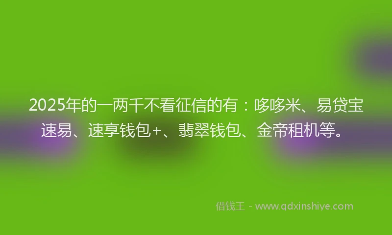 2025年的一两千不看征信的有：哆哆米、易贷宝速易、速享钱包+、翡翠钱包、金帝租机等。