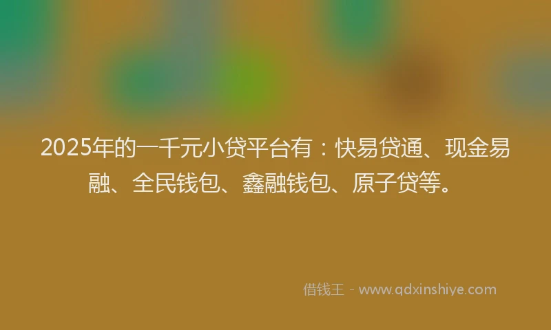 2025年的一千元小贷平台有：快易贷通、现金易融、全民钱包、鑫融钱包、原子贷等。