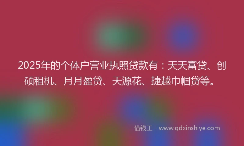 2025年的个体户营业执照贷款有：天天富贷、创硕租机、月月盈贷、天源花、捷越巾帼贷等。