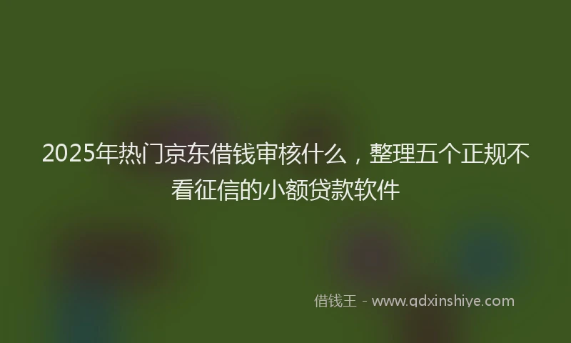 2025年热门京东借钱审核什么，整理五个正规不看征信的小额贷款软件