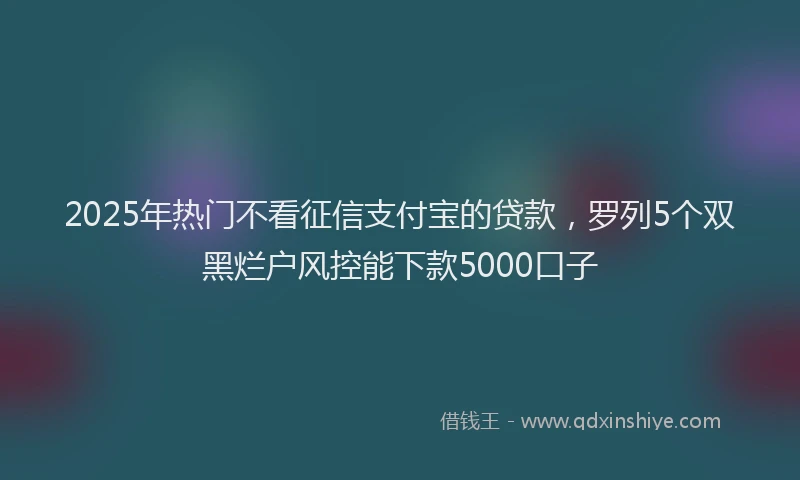 2025年热门不看征信支付宝的贷款，罗列5个双黑烂户风控能下款5000口子