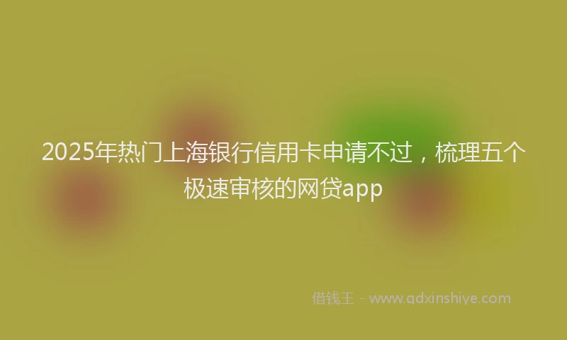 2025年热门上海银行信用卡申请不过，梳理五个极速审核的网贷app