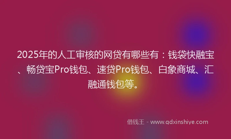 2025年的人工审核的网贷有哪些有：钱袋快融宝、畅贷宝Pro钱包、速贷Pro钱包、白象商城、汇融通钱包等。