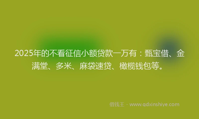 2025年的不看征信小额贷款一万有：甄宝借、金满堂、多米、麻袋速贷、橄榄钱包等。