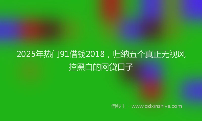 2025年热门91借钱2018，归纳五个真正无视风控黑白的网贷口子