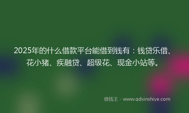 2025年的什么借款平台能借到钱有：钱贷乐借、花小猪、疾融贷、超级花、现金小站等。