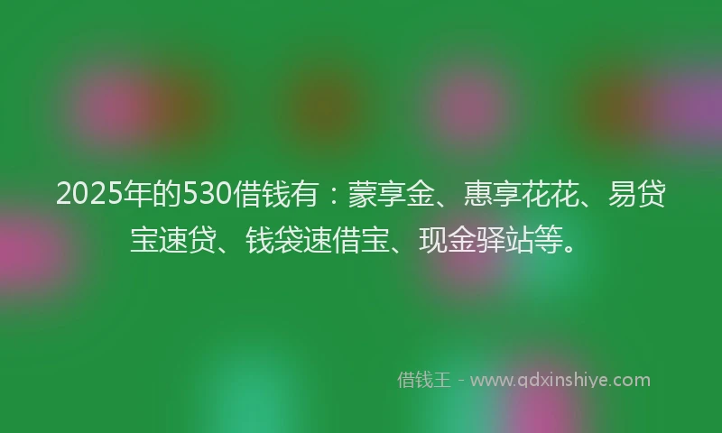 2025年的530借钱有：蒙享金、惠享花花、易贷宝速贷、钱袋速借宝、现金驿站等。
