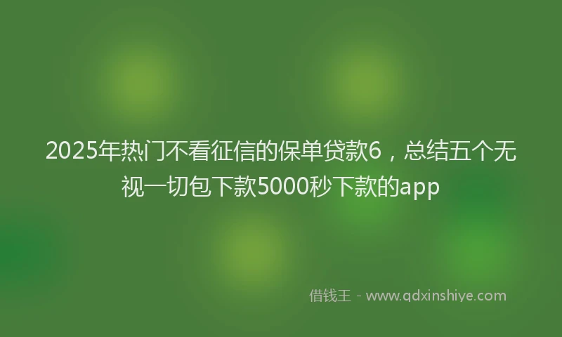 2025年热门不看征信的保单贷款6，总结五个无视一切包下款5000秒下款的app