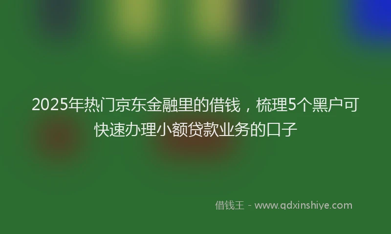 2025年热门京东金融里的借钱，梳理5个黑户可快速办理小额贷款业务的口子