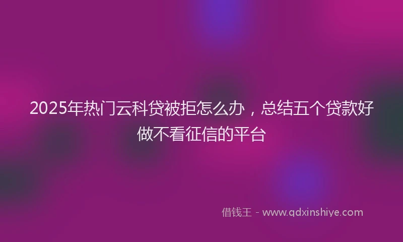 2025年热门云科贷被拒怎么办，总结五个贷款好做不看征信的平台