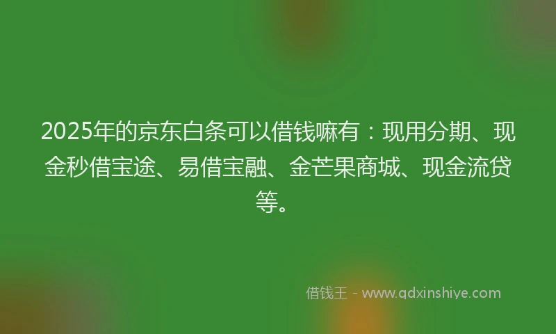 2025年的京东白条可以借钱嘛有：现用分期、现金秒借宝途、易借宝融、金芒果商城、现金流贷等。