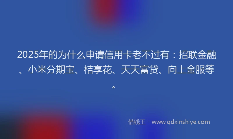2025年的为什么申请信用卡老不过有：招联金融、小米分期宝、桔享花、天天富贷、向上金服等。