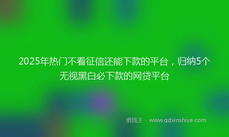 2025年热门不看征信还能下款的平台，归纳5个无视黑白必下款的网贷平台