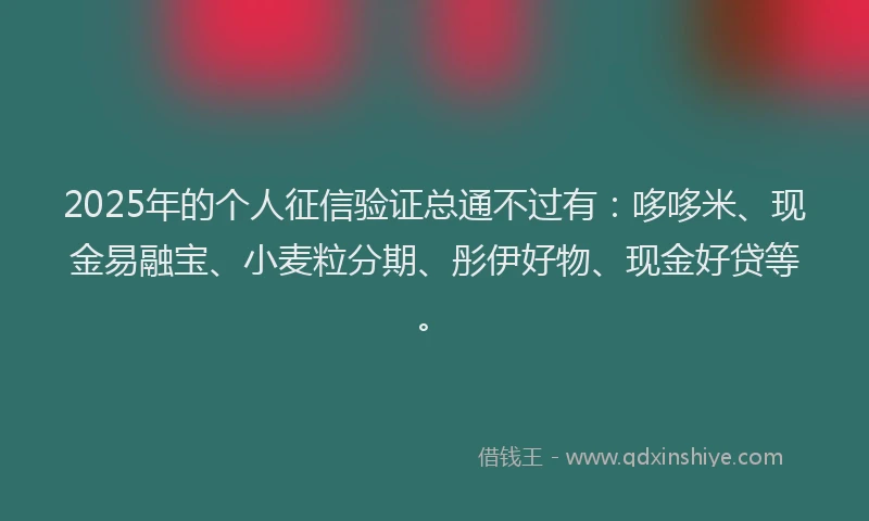2025年的个人征信验证总通不过有：哆哆米、现金易融宝、小麦粒分期、彤伊好物、现金好贷等。