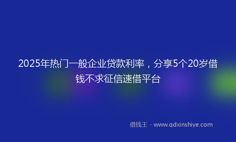 2025年热门一般企业贷款利率，分享5个20岁借钱不求征信速借平台