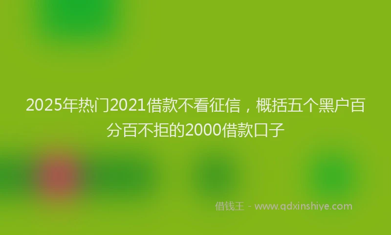 2025年热门2021借款不看征信，概括五个黑户百分百不拒的2000借款口子