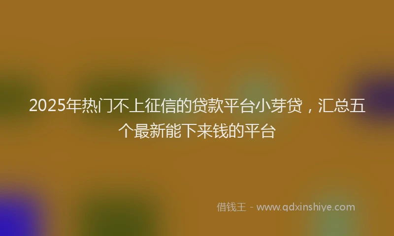 2025年热门不上征信的贷款平台小芽贷，汇总五个最新能下来钱的平台