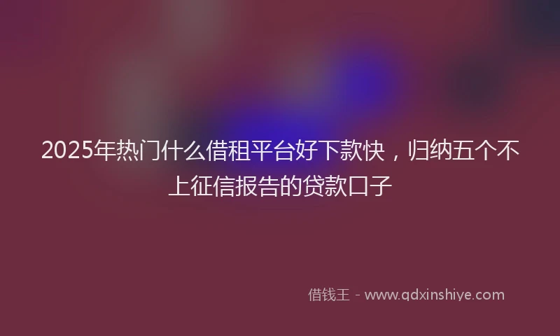2025年热门什么借租平台好下款快，归纳五个不上征信报告的贷款口子