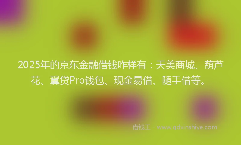 2025年的京东金融借钱咋样有：天美商城、葫芦花、翼贷Pro钱包、现金易借、随手借等。