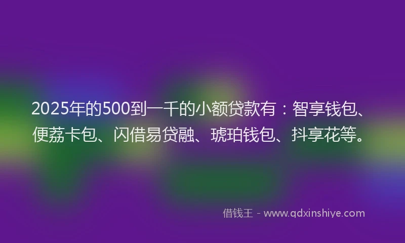 2025年的500到一千的小额贷款有：智享钱包、便荔卡包、闪借易贷融、琥珀钱包、抖享花等。