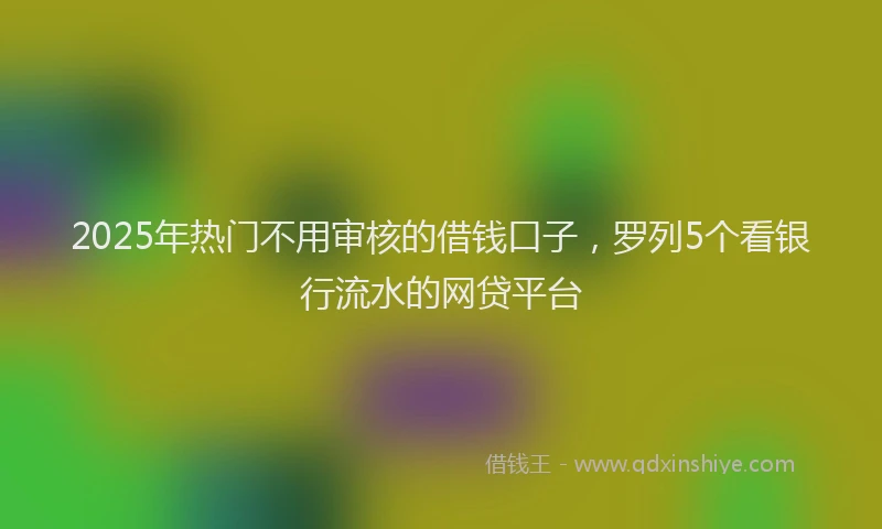 2025年热门不用审核的借钱口子，罗列5个看银行流水的网贷平台