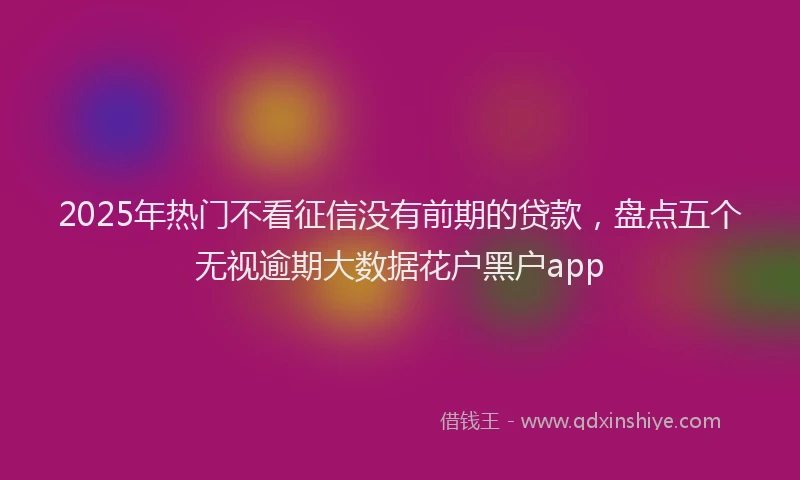 2025年热门不看征信没有前期的贷款，盘点五个无视逾期大数据花户黑户app