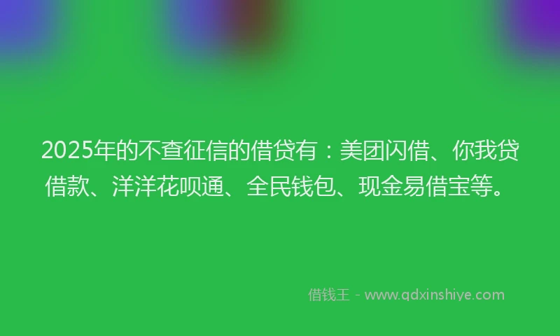 2025年的不查征信的借贷有：美团闪借、你我贷借款、洋洋花呗通、全民钱包、现金易借宝等。