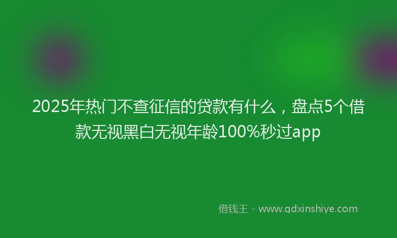 2025年热门不查征信的贷款有什么，盘点5个借款无视黑白无视年龄100%秒过app