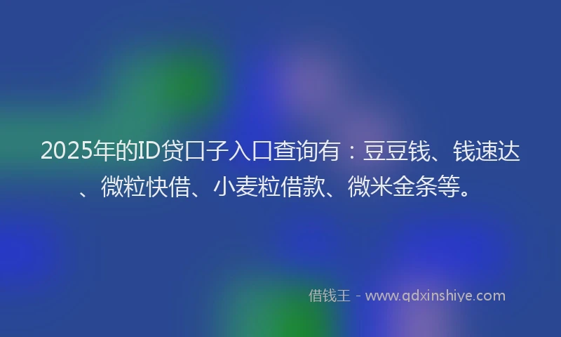 2025年的ID贷口子入口查询有：豆豆钱、钱速达、微粒快借、小麦粒借款、微米金条等。