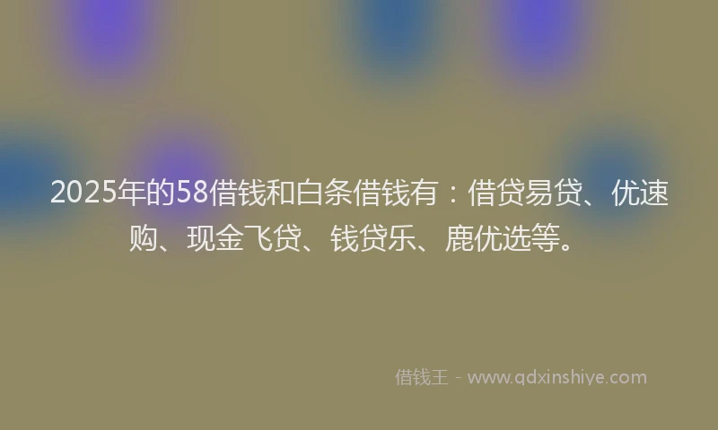 2025年的58借钱和白条借钱有：借贷易贷、优速购、现金飞贷、钱贷乐、鹿优选等。