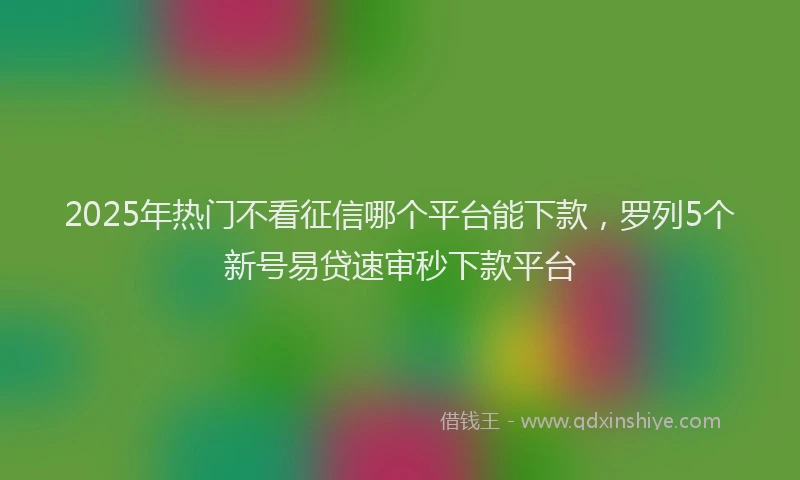 2025年热门不看征信哪个平台能下款，罗列5个新号易贷速审秒下款平台