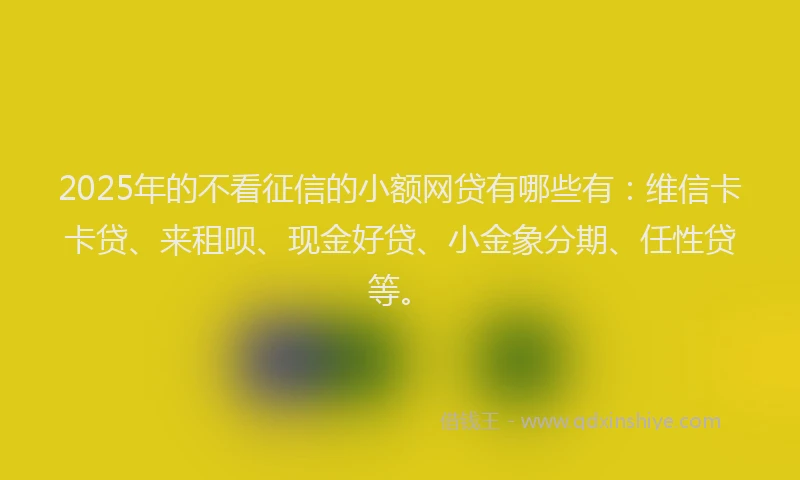 2025年的不看征信的小额网贷有哪些有：维信卡卡贷、来租呗、现金好贷、小金象分期、任性贷等。